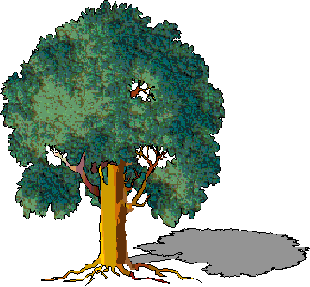 Tree3ab.gif (17342 bytes)